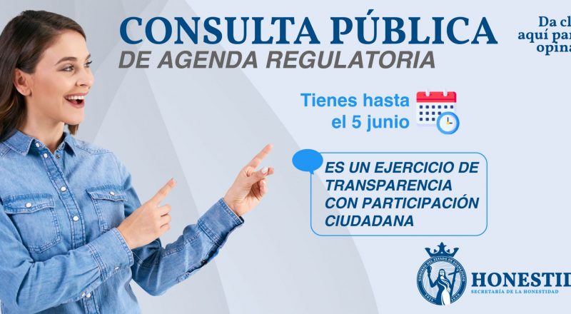 BANNER CONSULTA PUBLICA Periodo 2025